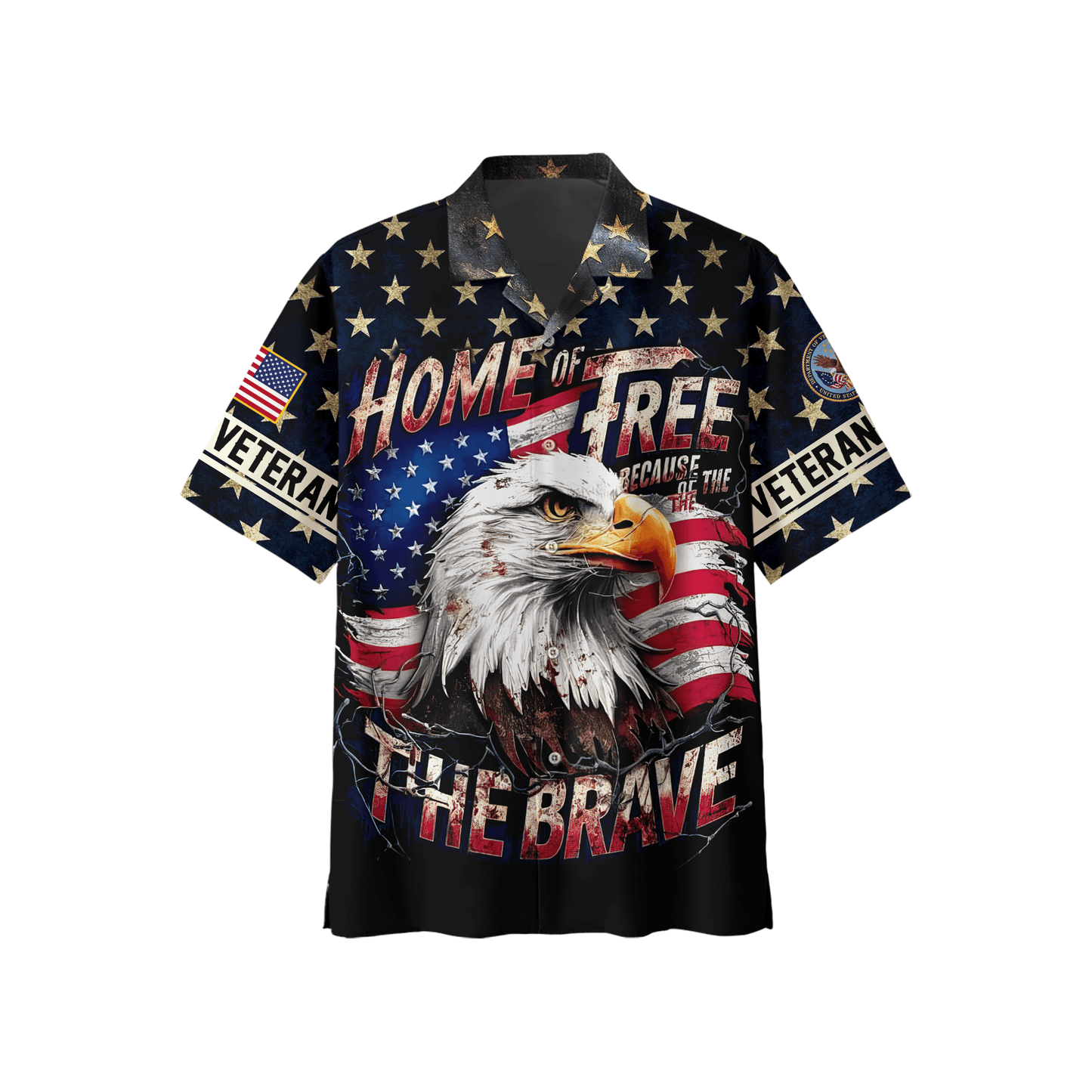 U.S. Coast Guard Eagle Hoodie VET31101 | Patriotic Gift